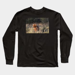 Wild cow Long Sleeve T-Shirt